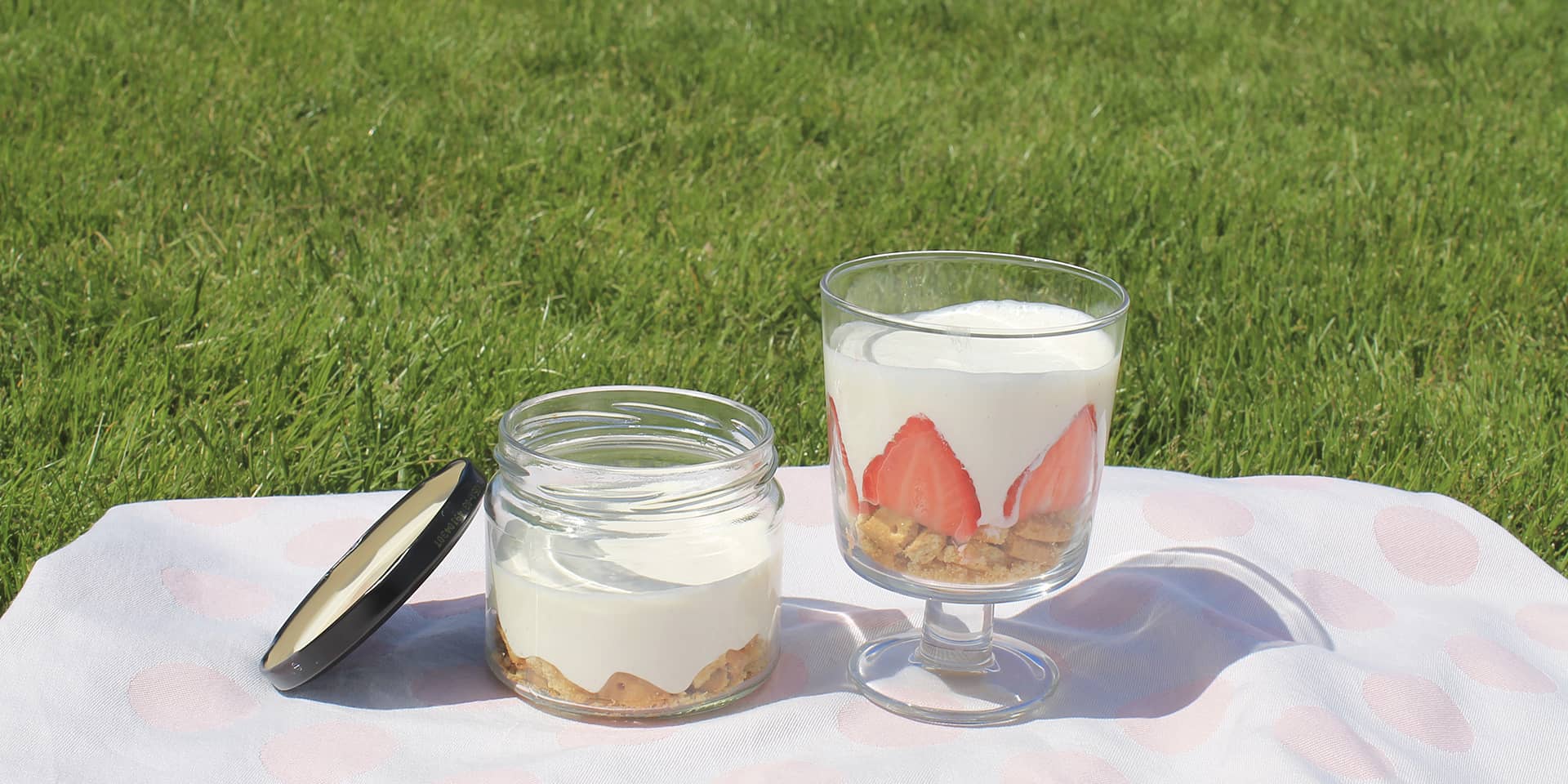 Cheesecake med rabarber – frisk og sommerlig dessert | FOF Aarhus