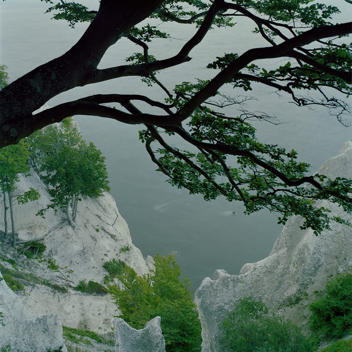 Fokus på lysets fortælling på fotoskole hos FOF København og Nordsjælland