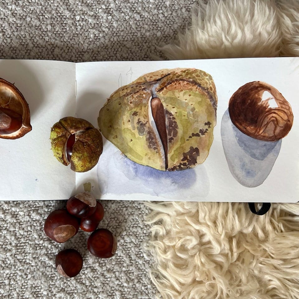 Watercolour course for everyone – in English