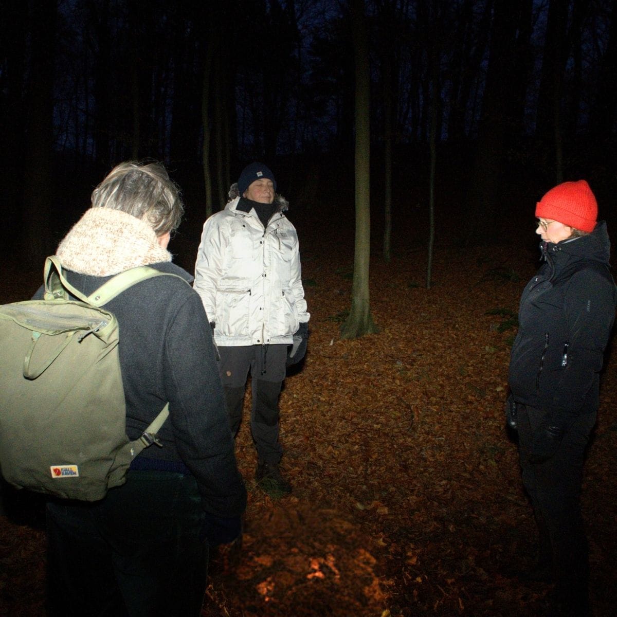 Gitte Grand Bang og kursister til skovbad.