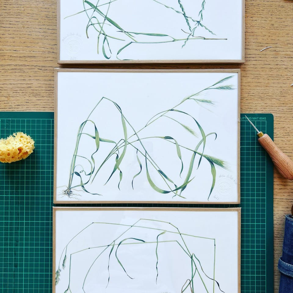 Learn how to paint with watercolours – course in English