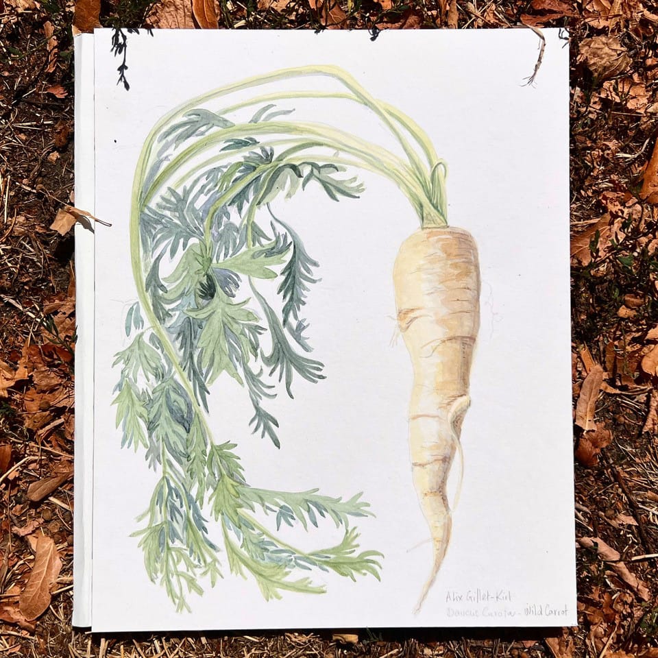 Watercolour painting by teacher Alix Gillet-Kirt