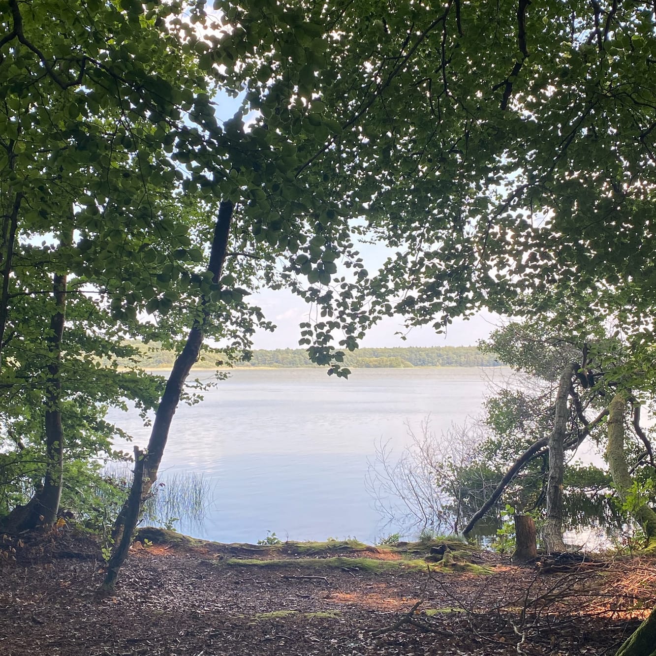 Naturvandring – fællesskab på stierne