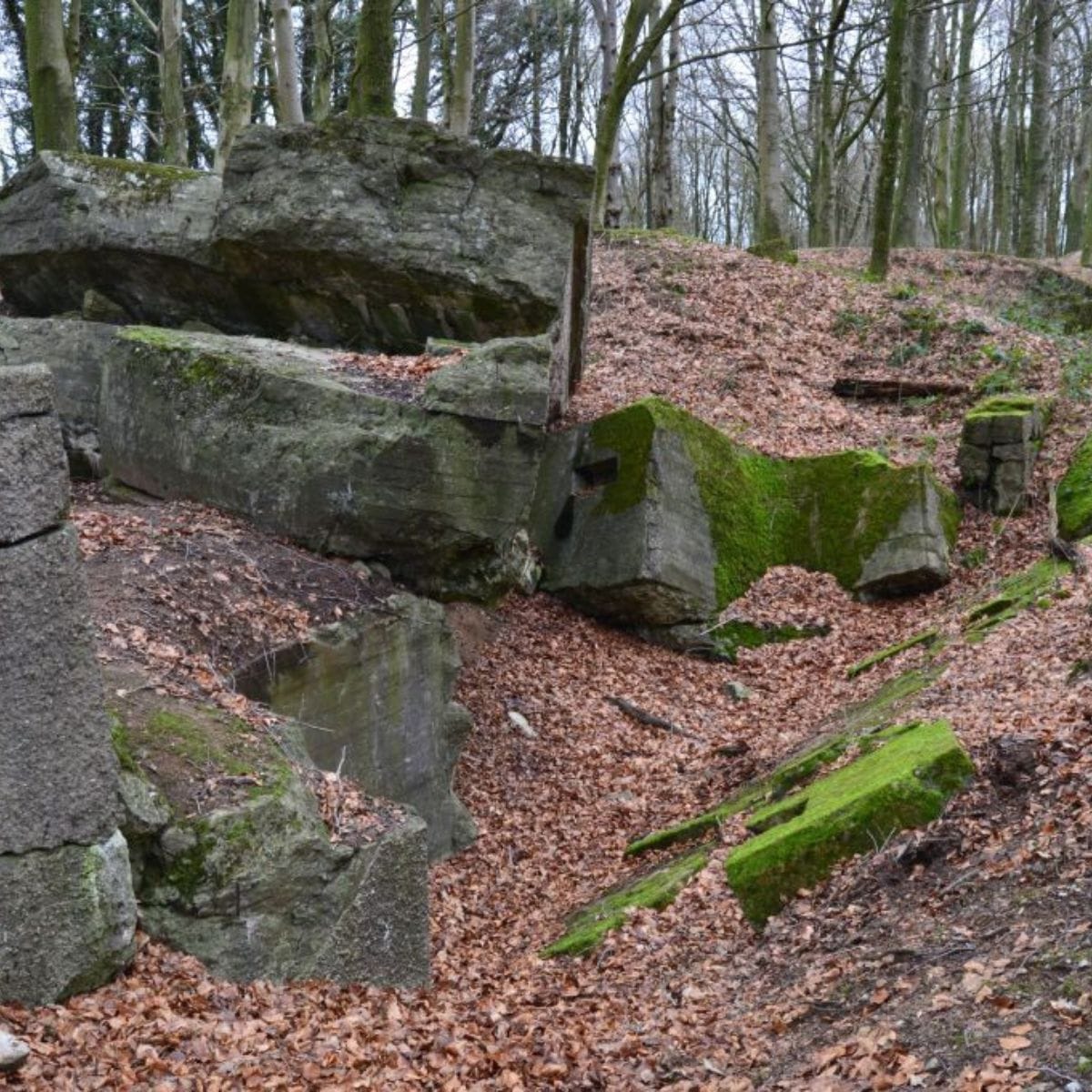 Resterne af Gammelskov batteri i sikringsstilling Nord