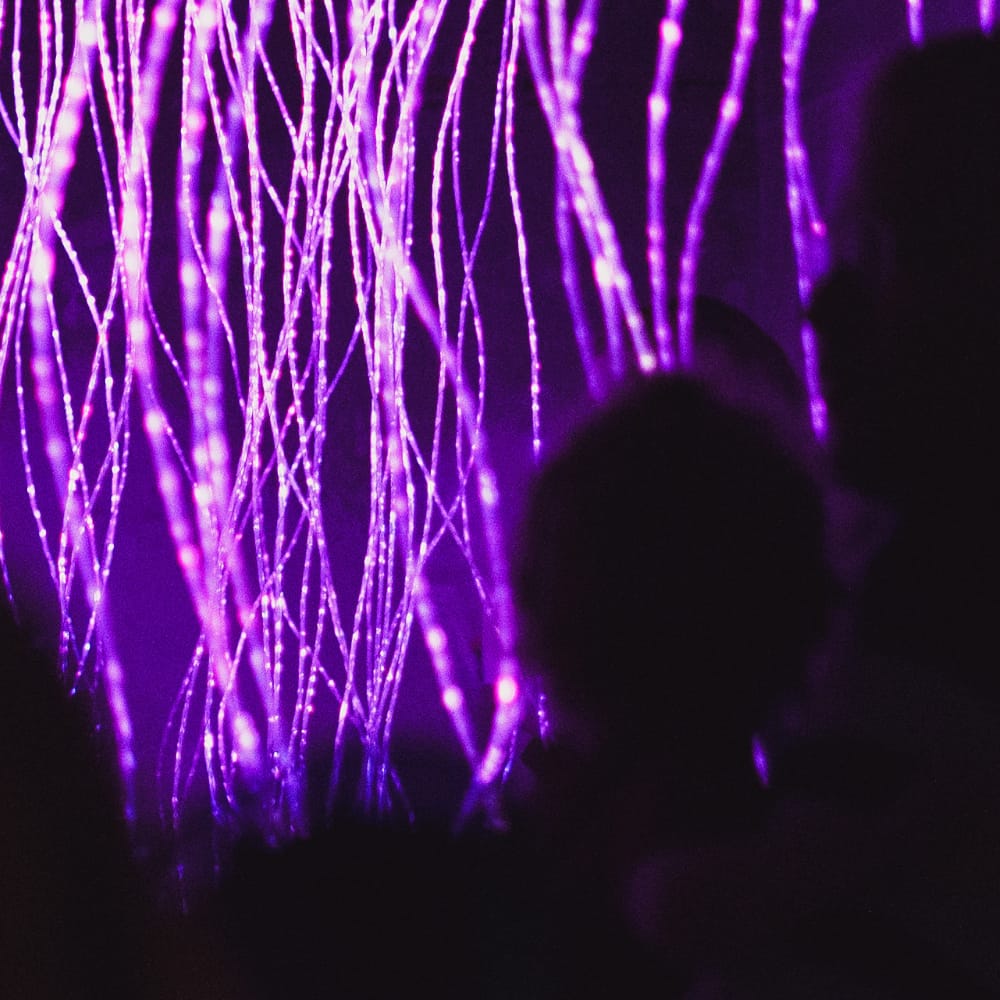 Purple Rain – kunstværk på Copenhagen Light Festival