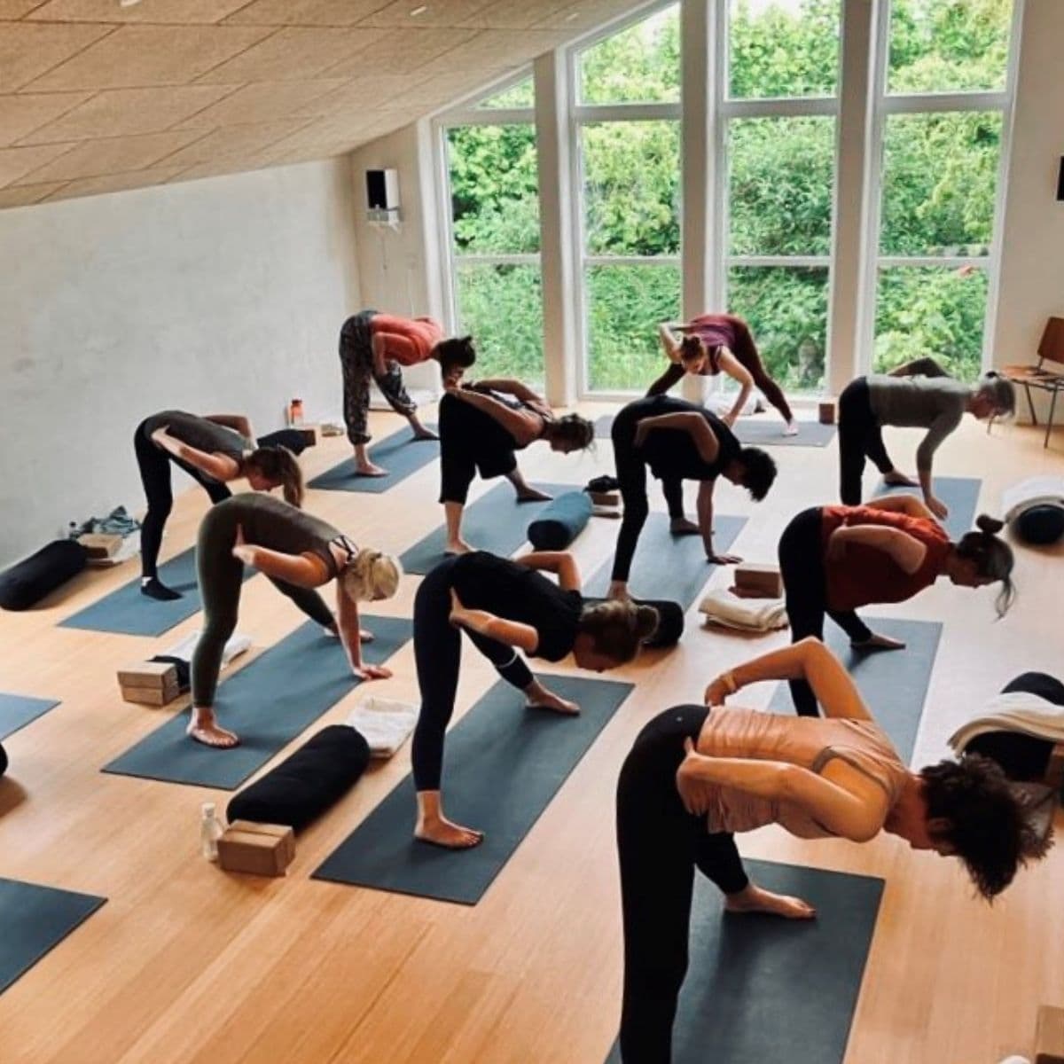 hatha yoga i Rynkeby ved Yogatræet
